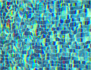 Screen Shot 2017-02-07 at 12.13.16 PM